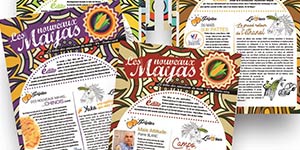 Mayas