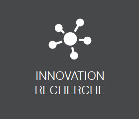 Protection et confort des vaches en stabulation