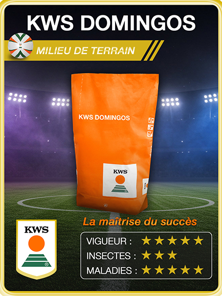 KWS DOMINGOS