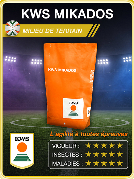 KWS MIKADOS