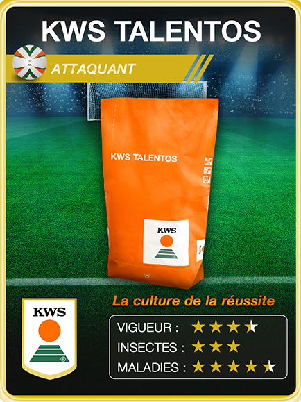 KWS TALENTOS